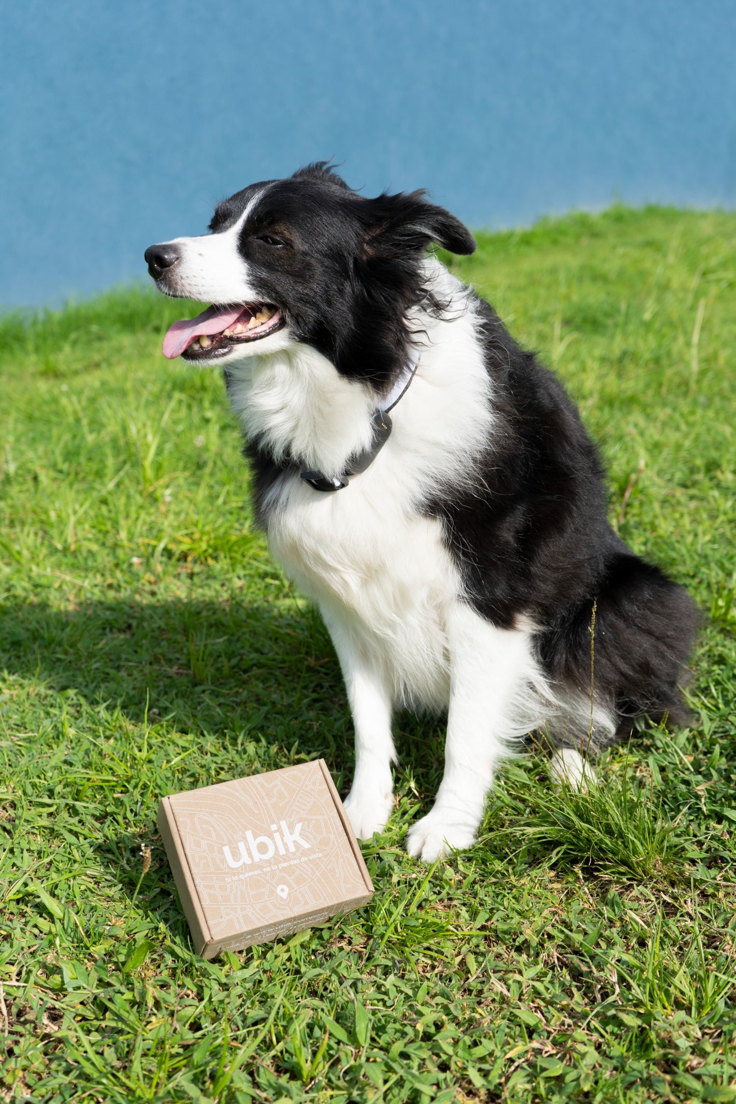Rastreador GPS UBIK para perros